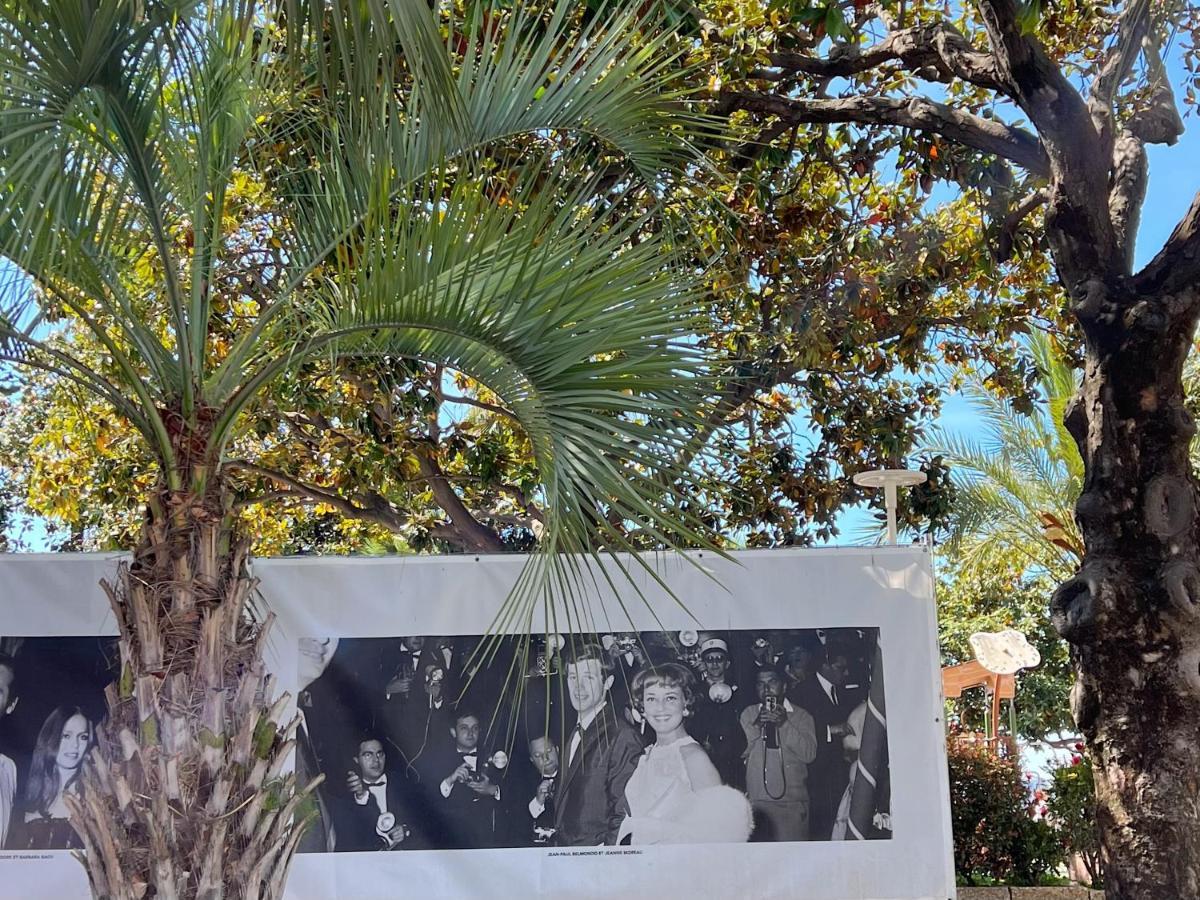 Centre, 3 Chambres, Et La Croisette A 50m Cannes